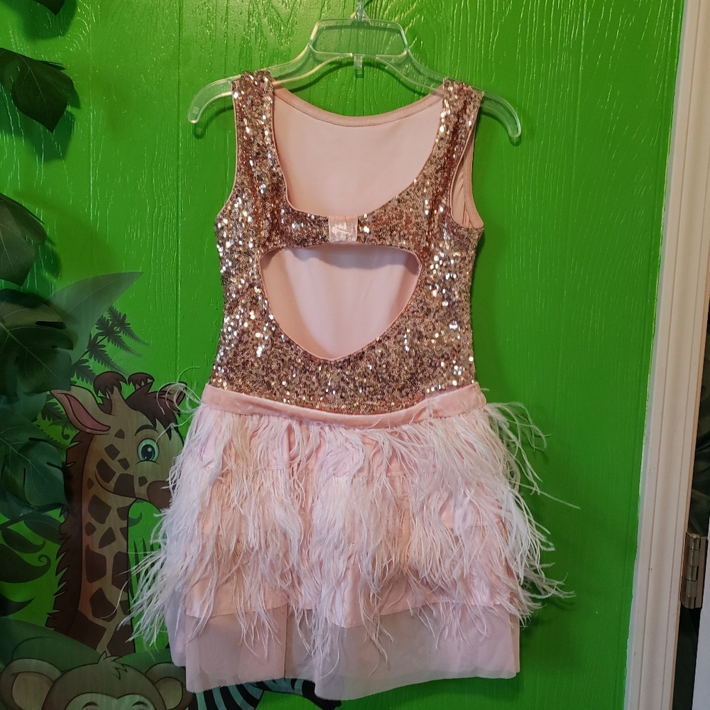 Recital costume - Picture 2 of 2